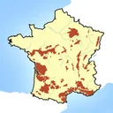 Wine Maps app icon