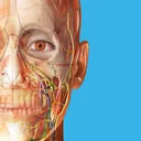 Human Anatomy Atlas 2027 app icon